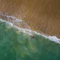 Dron